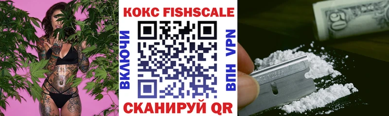 Cocaine Fish Scale  Купить  Дыгулыбгей 