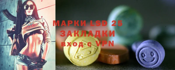 индика Горняк