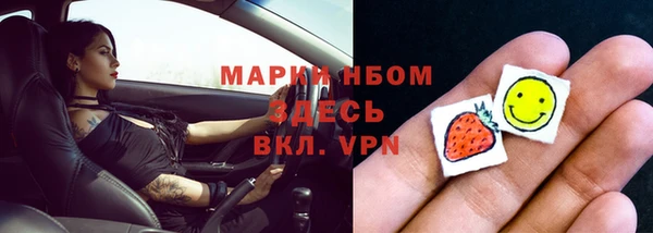 индика Горняк