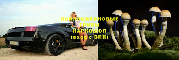 a pvp Горно-Алтайск