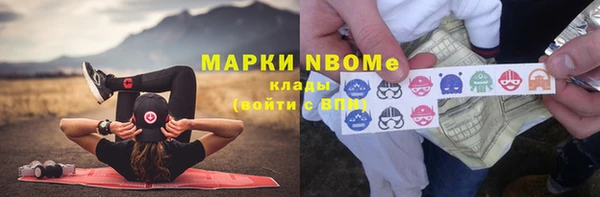 индика Горняк