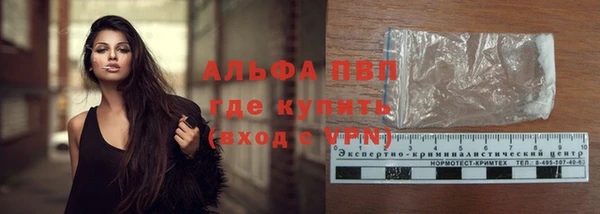 индика Горняк
