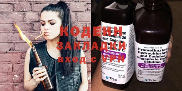 индика Горняк