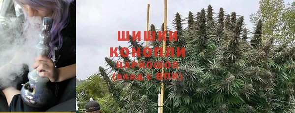 индика Горняк