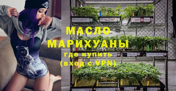 индика Горняк