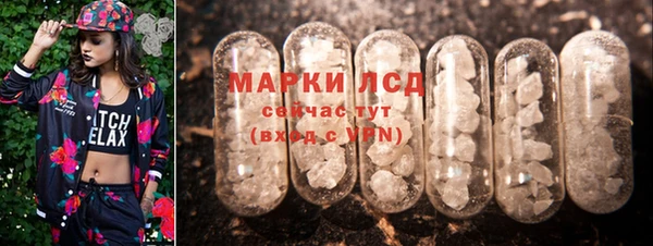 PSILOCYBIN Горнозаводск