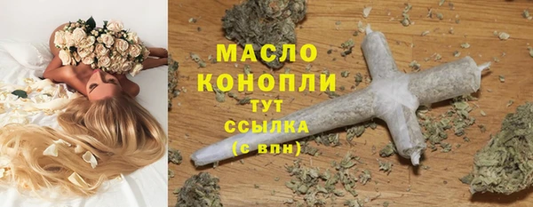 индика Горняк