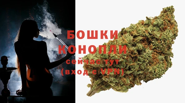 PSILOCYBIN Горнозаводск
