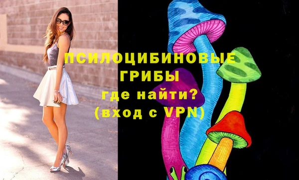 индика Горняк