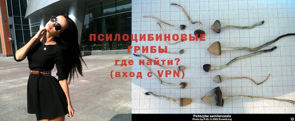 индика Горняк