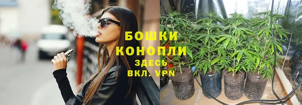 PSILOCYBIN Гусь-Хрустальный