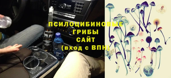 a pvp Горно-Алтайск