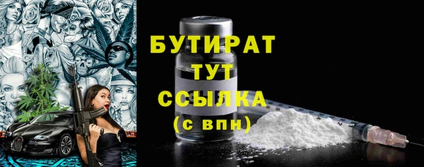 индика Горняк